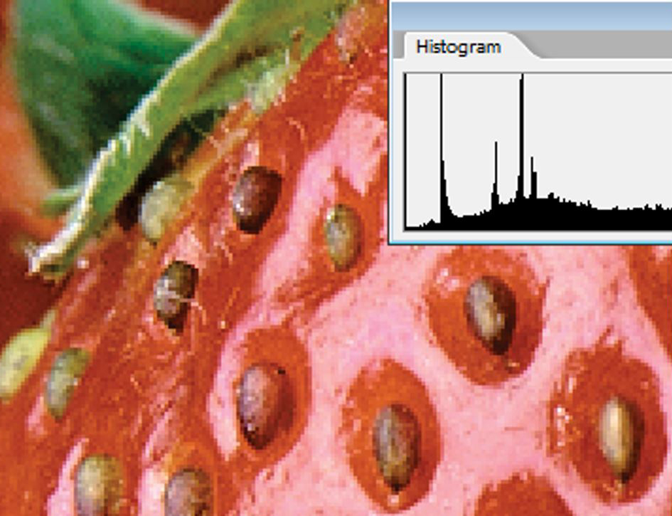 input-image-with-256-levels.png